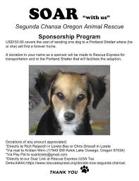 Maybe you would like to learn more about one of these? Soar Nopolo News Events More