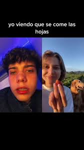 Se Come Las Hojas De Las Fresas