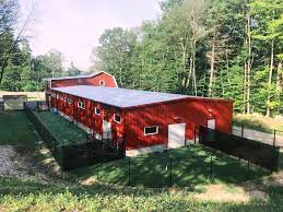 Looking to adopt a new pet? Pets For Adoption At Darbster Foundation In Chichester Nh Petfinder