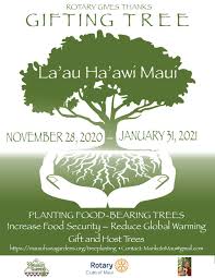 Offering information on the maui marathon and half marathon. Stories Rotary Club Of Maui