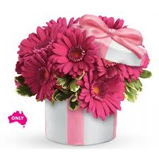 Pin On Send Christmas Flower To Australia 2018