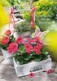 In diesem beitrag erfahren sie alles zum hochbeet bepflanzen im 1. Schublade Zum Bepflanzen Aus Holz Terrapalme Heim Und Gartenshop