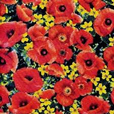 Denslow, originally published by the george m. 1 2 Yard Wizard Of Oz Poppy Field 100 Cotton Fabric Great For Quilting Sewing Craft Projects Throw Pillows Amp More 1 2 Yard X 44 Wide Buy Online In Bahamas At Bahamas Desertcart Com Productid 12913727