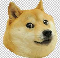Shiba Inu Dogecoin Png Canaan Dog Carnivoran Companion Dog Dog Dog Breed Shiba Inu Companion Dog Doge Meme