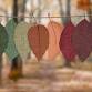 Leaf Lanterns event image