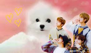 Don't know how to use google drive? Not Nct Tumblr Blog Tumgir