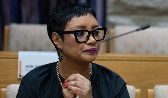 Parliament refutes ActionSA MP Dereleen James' expenses claim