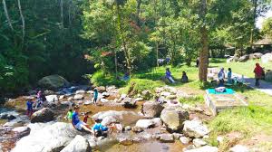 Booking kamar resort prima selabintana, sukabumi sekarang. Cuci Mata Ke Wisata Alam Pondok Halimun Sukabumi Lingga Permesti A Family Lifestyle Blogger