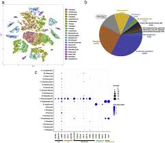 Transcriptome Landscape Of Myeloid Cells In Human Skin