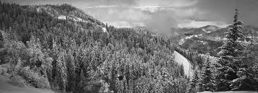 Right next to poiana ski place, very helpful staffs. Schi In Poiana BraÈ™ov Sezonul 2020 2021