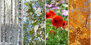 Four seasons flowers guelph מיקוד n1h 7g5. What You Should Know About Year Round Indoor Air Quality Guelph Climatecare