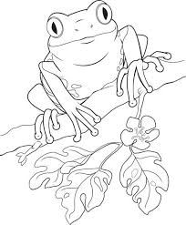 Download this adorable dog printable to delight your child. Coloring Page Frog Coloring Pages Animal Coloring Pages Drawings