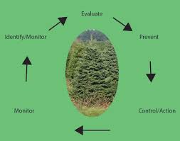 Learn how to be proactive in your pest control. Integrated Pest Management Kirk Company