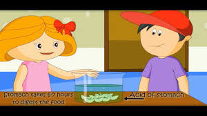 Find out how the digestive system works, from start to finish, in this video! Digestive System Human Body For Kids How Body Works Makemegenius Com Youtube