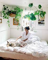 Maybe you would like to learn more about one of these? Turn Your Bedroom Into A Garden Hangign Some Pots To The Ceiling Eco Friendly Home Bedroom Bedroom Design Bedroom Inspirations