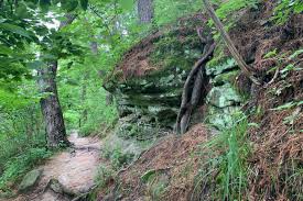 Learn how to fix your bike, camp cooking tips, kayaking excursions and more with rei. Starved Rock State Park Starved Rock Lodge