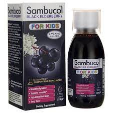Sambucol Black Elderberry Syrup For Kids 4 Fl Oz Liquid Swanson Health Products