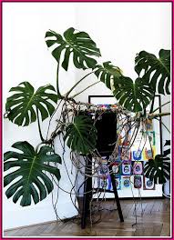 Boring Garden Turn It Into A Thing Of The Past With This Particular Handy Information Simple Garden Ideas Plants Green Plants Indoor Plants