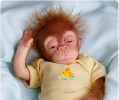 Hey animal lover, have you ever thought what the babies of your favorite animal are called? The 10 Most Rare Animals You Can Only Find In Indonesia