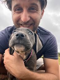 What is the best insurance for pets?