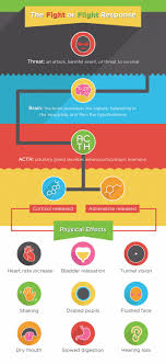 Stress Boundless Anatomy And Physiology