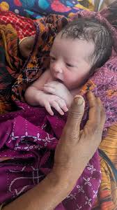 Ebrahim Khan (@ibrahimkhanbd357237) • Instagram photos and videos