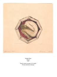 Image result for Gnidia inconspicua