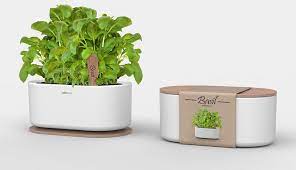 Click and grow smart garden 3. 33 Indoor Gardening Innovations