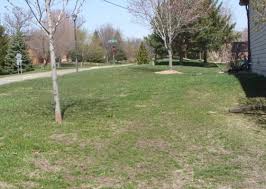 Founded in 1977, we are licensed and insured to perform our services on any type of property. Lawn Care Services Northern Roots Lawn Care