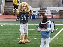 Columbia university admission requirements are between 1450 and 1570 sat score; Columbia Lions Wikipedia