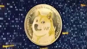 Here's why you may want to take the meme cryptocurrency seriously. Elon Musk S Meme Cryptocurrency Dogecoin Records The Highest Jump Technology News Zee News
