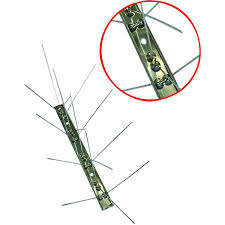 Pestexpel humane anti gatto stuoia animale picchietto deterrente repellente 2m x 0.3m. Dissuasori Per Piccioni Riccio Acciaio Inox Rigido Dissuasori Per Piccioni Base Rigida In Acciaio Inox Matteoda It Torino 622 Diss260 3 40eur Matteoda It E Ferramenta E Utensileria A Torino In Via Nizza