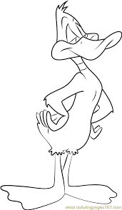 Daffy duck colouring pages coloring pages are a fun way for kids of all ages to develop creativity, focus, motor skills and color recognition. Daffy Duck Coloring Page For Kids Free Animaniacs Printable Coloring Pages Online For Kids Coloringpages101 Com Coloring Pages For Kids