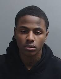 FOR IMMEDIATE RELEASE Oak Brook Police Apprend Motor Vehicle Thieves Oak  Brook, IL—On 01/31/2025 at approximately 2:55AM Oak Brook Police officers  responded to York Woods subdivision for a delayed suspicious incident  report.