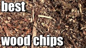 Find free wood chips ads from melbourne region, vic. How Why I Use Wood Chip Mulch In The Garden Youtube