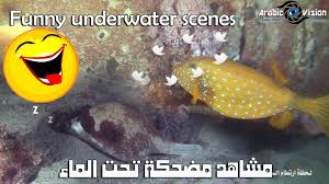 مشاهد مضحكة تحت الماء فكاهية مقالب Funny Underwater Scenes