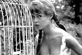 Resultado de imagem para brigitte bardot