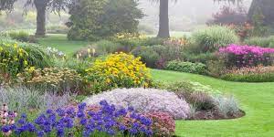 We did not find results for: Foggy Bottom At 50 Bressingham Gardens