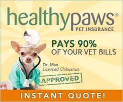 Check spelling or type a new query. Is Pet Insurance Affordable Pet Health Insurance Cheap Pet Insurance Pet Insurance