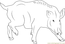 My favorite is a printable bear coloring page! Wild Swine Coloring Page For Kids Free Boar Printable Coloring Pages Online For Kids Coloringpages101 Com Coloring Pages For Kids