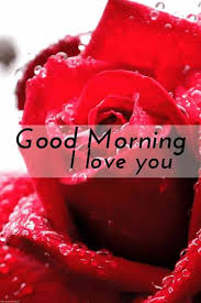 Best Good Morning Hd Images Wishes Pictures And Greetings Good Morning Love You Good Morning Love Good Morning Kisses