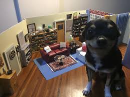 Verified purchase | posted 1 year ago. Miniature Big Bang Theory Set Dog For Scale Bigbangtheory