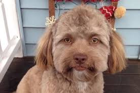 William Marengo (marengo3581)