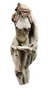 Image result for Phalaris