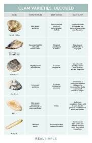 Types Of Clams Real Simple