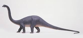 10 Things To Know About One Of The Biggest Dinosaurs That Ever Lived Diplodocus Dinosaur Dinosaur Fossils