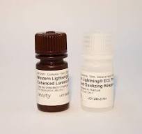 Western Lightning Plus, Chemiluminescent Substrate (30 mL ...