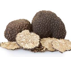 Image of Truffle