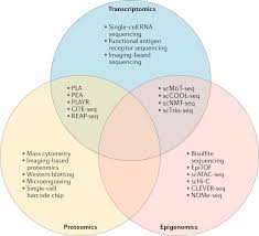 single cell technologies studying rheumatic diseases one