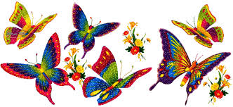 Image result for papillons